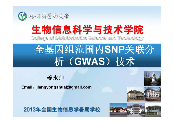 全基因组范围内SNP关联分析(GWAS)技术