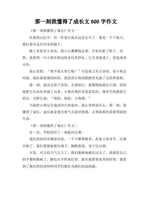 那一刻我懂得了成长文600字作文