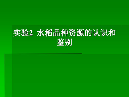 实验Ⅰ 水稻品种资源的认识及鉴别