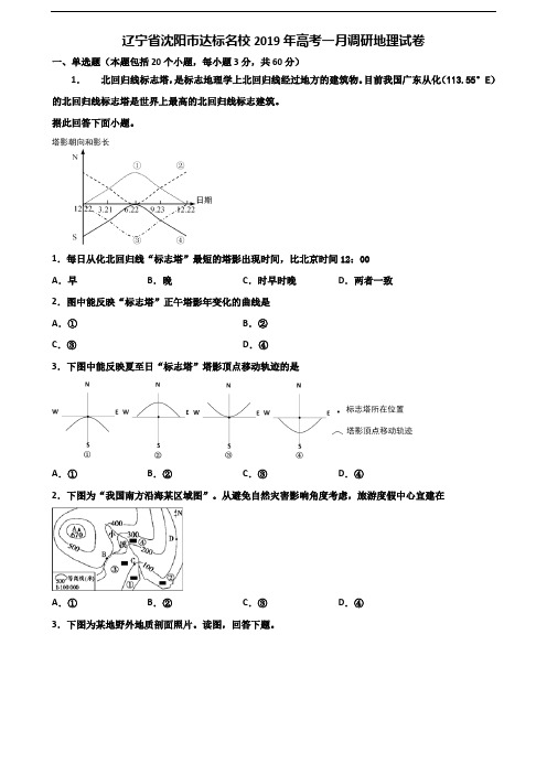 辽宁省沈阳市达标名校2019年高考一月调研地理试卷含解析