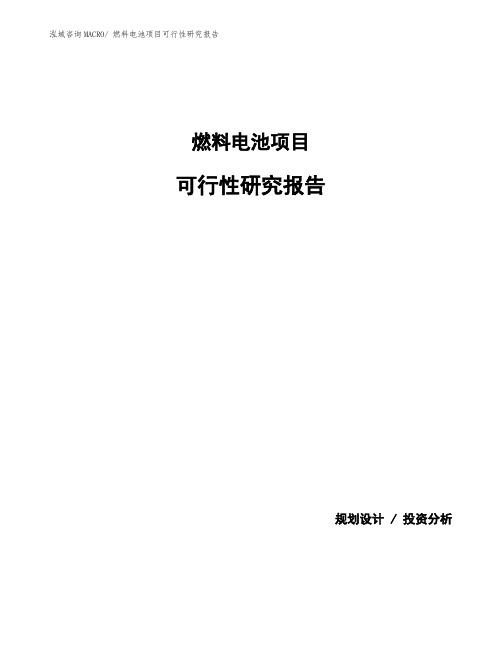 燃料电池项目可行性研究报告(37亩)