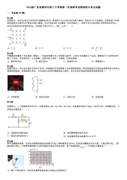 2024届广东省惠州市高三下学期第一次调研考试物理核心考点试题