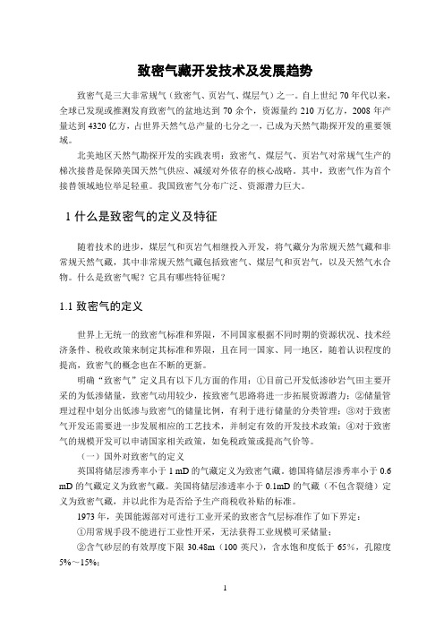 致密气藏开发技术及发展趋势文献调研