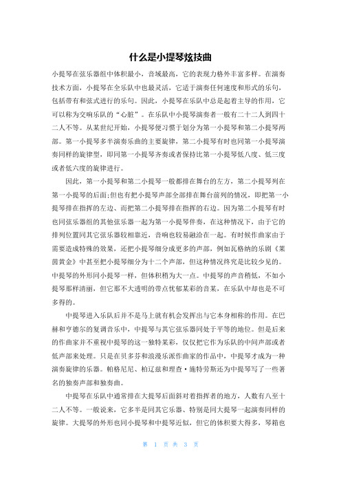 什么是小提琴炫技曲