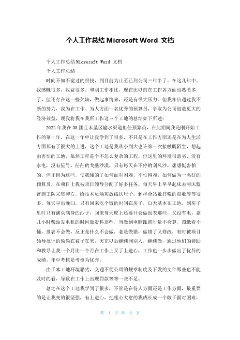 个人工作总结Microsoft Word 文档