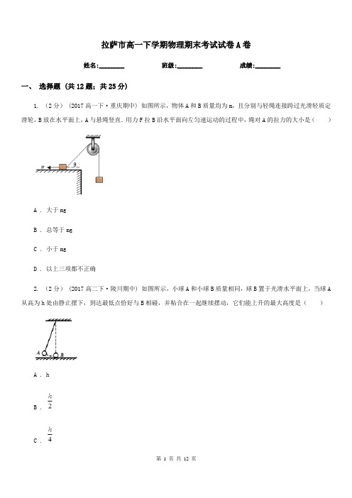 拉萨市高一下学期物理期末考试试卷A卷精版