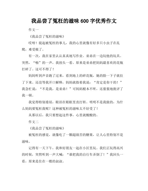 我品尝了冤枉的滋味600字优秀作文