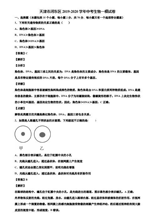 天津市河东区2019-2020学年中考生物一模试卷含解析