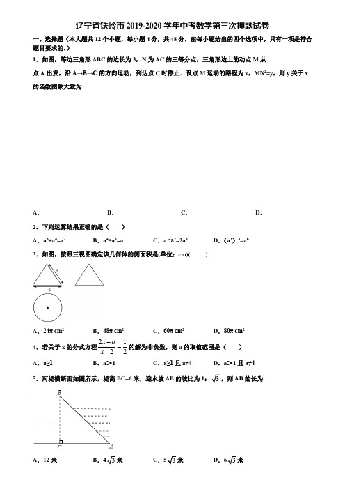 辽宁省铁岭市2019-2020学年中考数学第三次押题试卷含解析