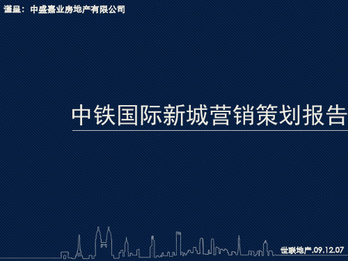 星沙项目营销策划报告