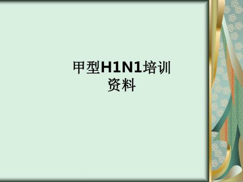 甲型H1N1培训资料ppt课件