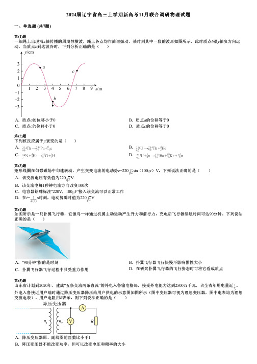 2024届辽宁省高三上学期新高考11月联合调研物理试题