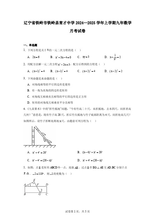 辽宁省铁岭市铁岭县育才中学2024—2025学年上学期九年数学月考试卷