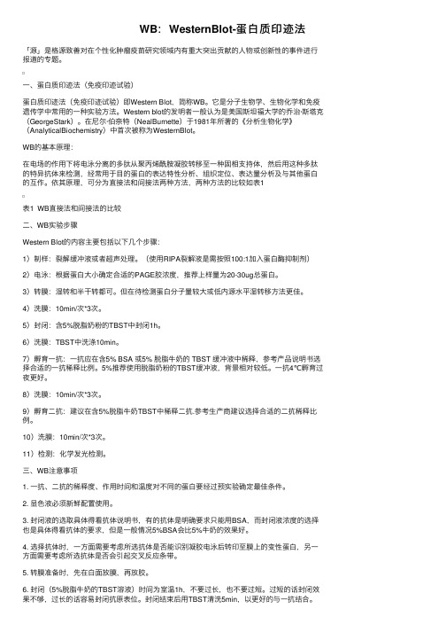 WB:WesternBlot-蛋白质印迹法
