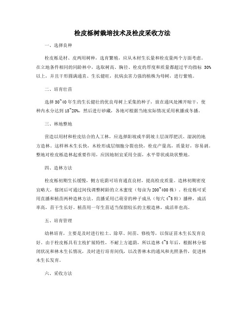 栓皮栎树栽培技术及栓皮采收方法