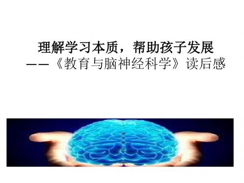 教育与脑神经科学读后感