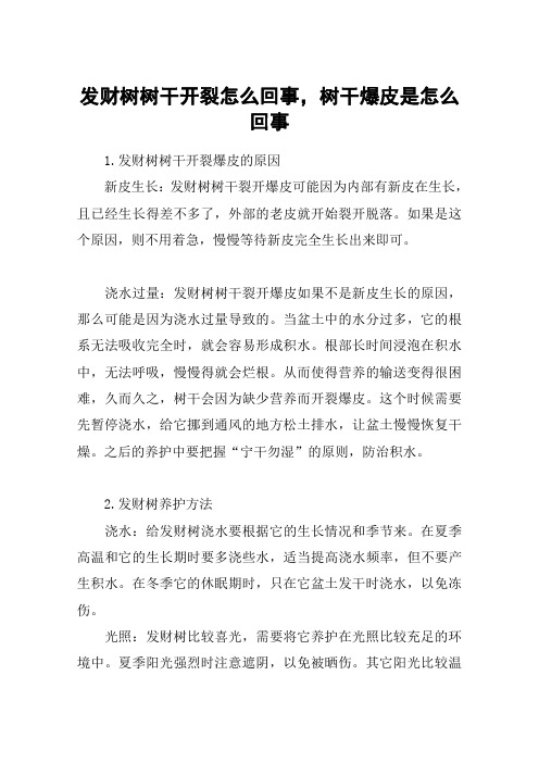 发财树树干开裂怎么回事,树干爆皮是怎么回事