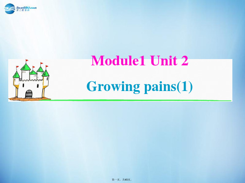 高中英语 M1 Unit 2 Growing pains基础巩固篇复习课件1