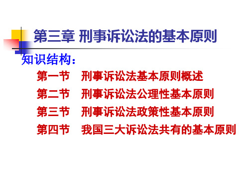 第三章 刑事诉讼法的基本原则