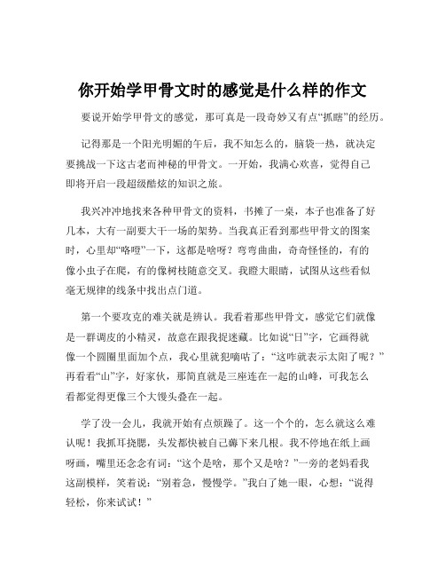 你开始学甲骨文时的感觉是什么样的作文