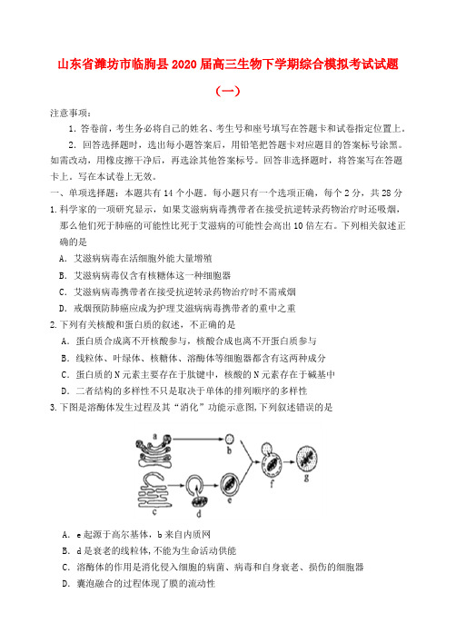 山东省潍坊市临朐县2020届高三生物下学期综合模拟考试试题(一)