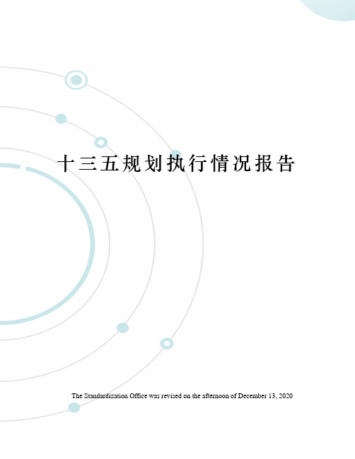 十三五规划执行情况报告