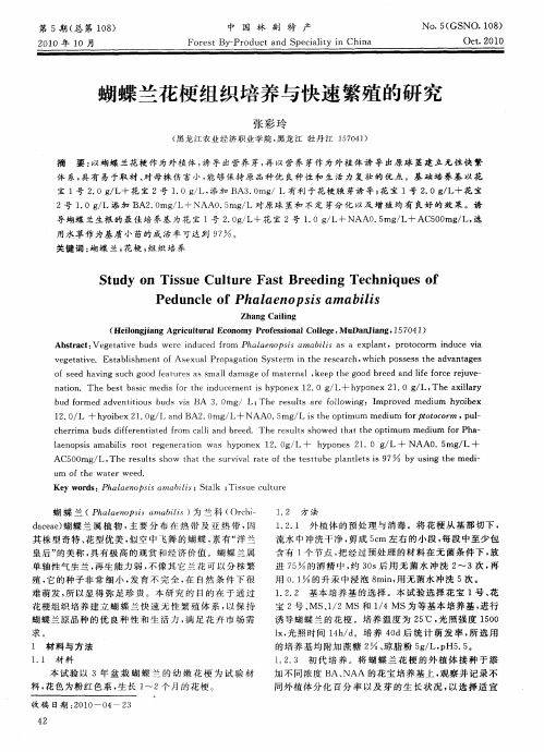 蝴蝶兰花梗组织培养与快速繁殖的研究