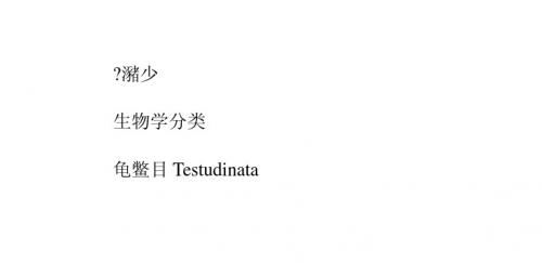你知道七种闭壳龟么?