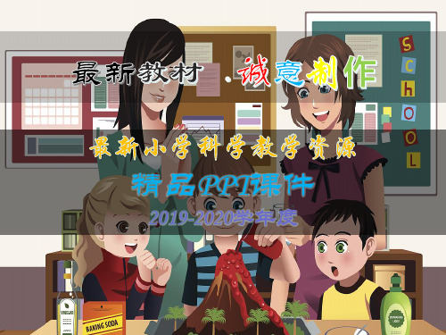 【小学科学】最新青岛版六年级上册：24珍稀动植物PPT课件 (3)(2019秋季学期)