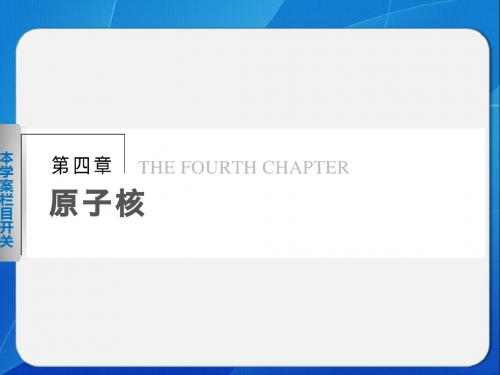 粤教版高中物理选修3-5课件 放射性元素的衰变课件4