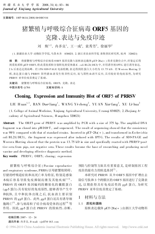 猪繁殖与呼吸综合征病毒ORF5基因的克隆、表达与免疫印迹