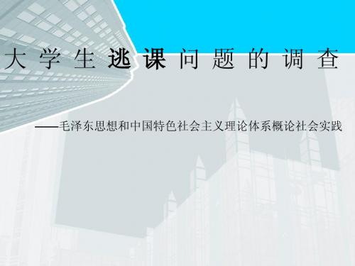 长安大学毛概课外实践.ppt