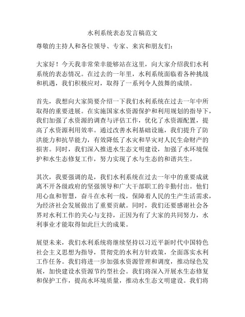 水利系统表态发言稿范文