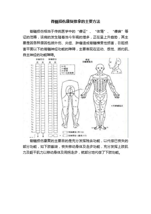 脊髓损伤康复推拿的主要方法