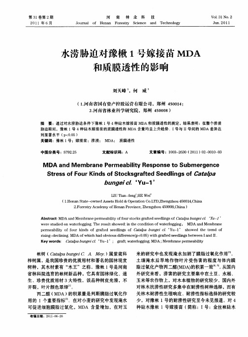 水涝胁迫对豫楸1号嫁接苗MDA和质膜透性的影响