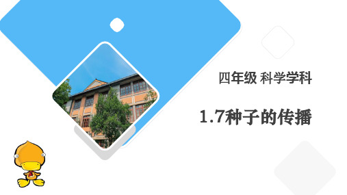 最新教科版四年级科学下册《种子的传播》教学课件