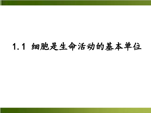 【人教版材】化学细胞是生命活动的基本单位全文课件1