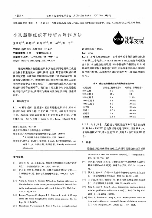 小鼠脂肪组织石蜡切片制作方法