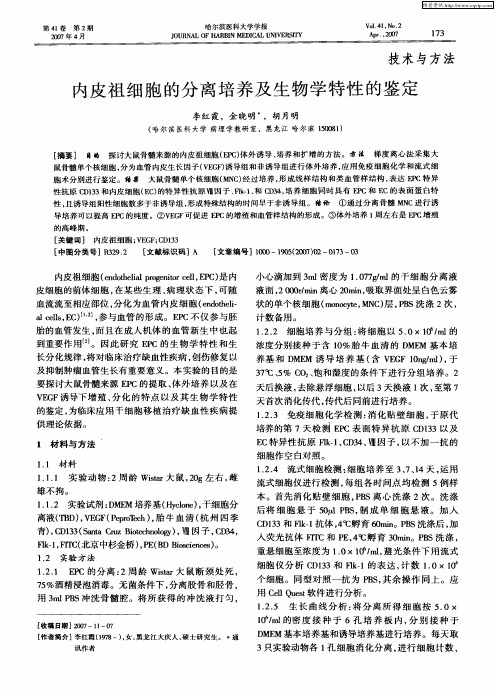 内皮祖细胞的分离培养及生物学特性的鉴定