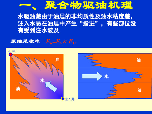 油藏动态分析教程 飞雁滩注聚区动态分析(5)