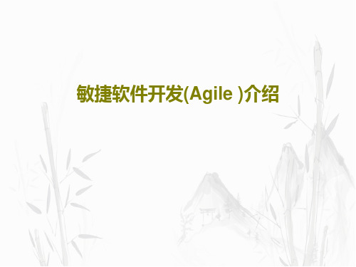 敏捷软件开发(Agile )介绍29页PPT