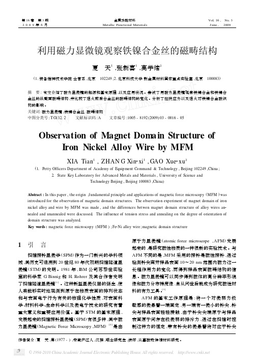 利用磁力显微镜观察铁镍合金丝的磁畴结构