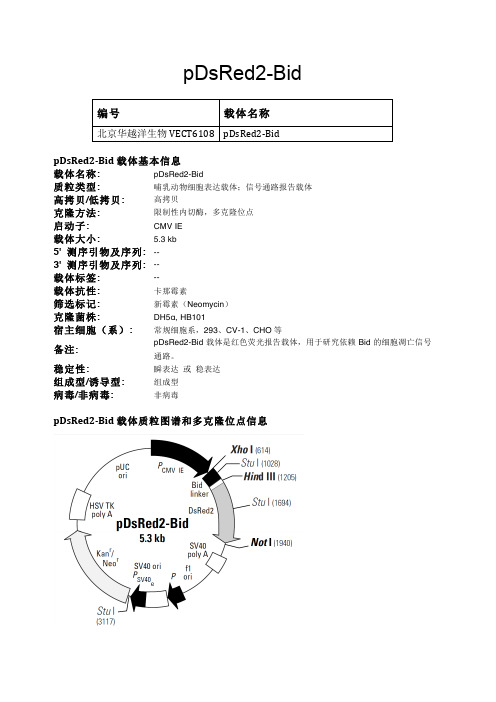 pDsRed2-Bid哺乳动物表达载体说明