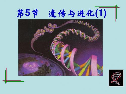 九年级科学下册1.5遗传与进化1课件3