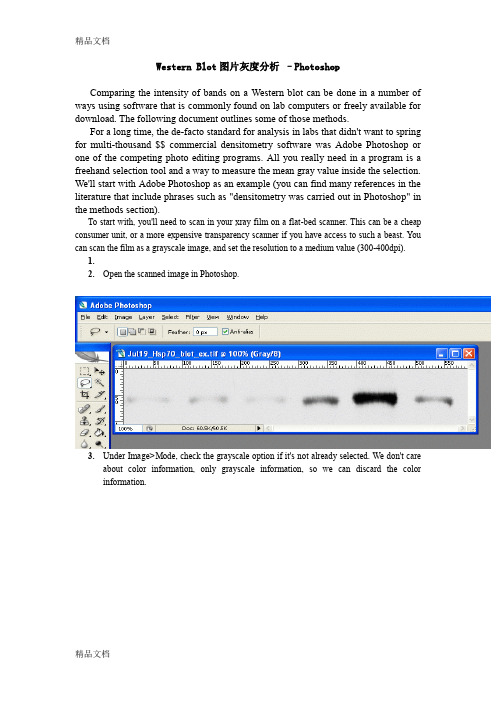 (整理)WesternBlot图片灰度分析-Photoshop.