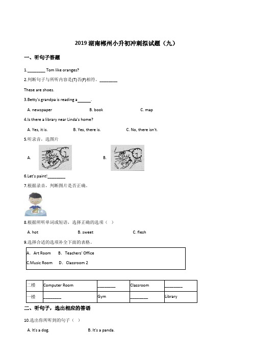 六年级下册英语试题--2019湖南郴州小升初冲刺试题(九) 人教版 (PEP) 含答案