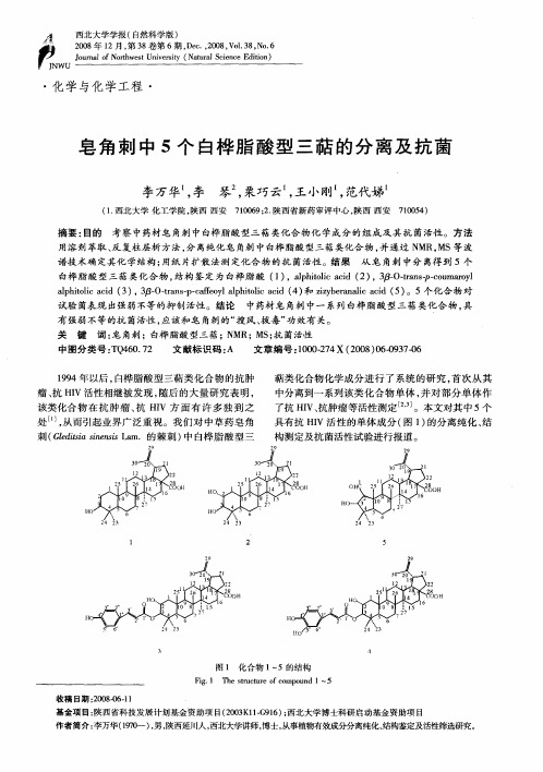 皂角刺中5个白桦脂酸型三萜的分离及抗菌