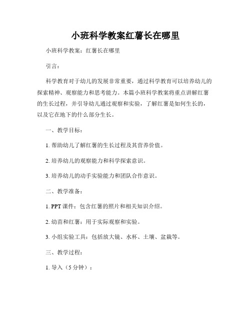 小班科学教案红薯长在哪里