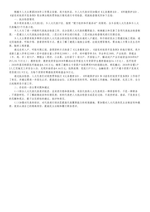 人大代表执法检查总结.pdf