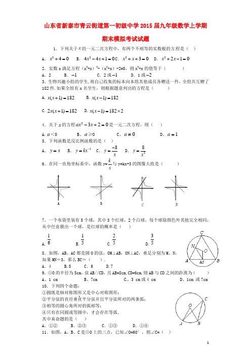 山东省新泰市青云街道第一初级中学九年级数学上学期期